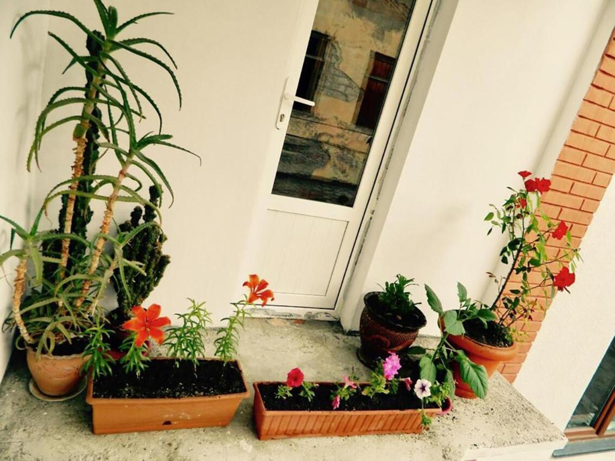 Erik'S Guest House 보르조미 외부 사진